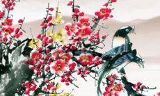 2023年即将来临：属羊而且是水瓶座的你，快来看看未来的发展趋势！