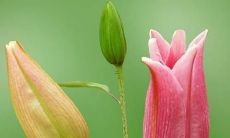 我做了一个梦，梦见自己打掉了孩子，这个梦象征着什么？