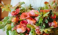 男性出生于天秤座第一区域，与女性出生于水瓶座第三区域的配对探究