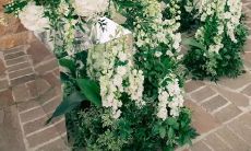 部特征和穿衣风格：探讨十二星座女性的身材特征及其对穿衣风格的影响