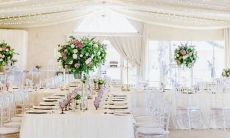 水瓶座男和狮子座女的星座相容性：一次异想天开的组合是否有希望建立稳定的情感联系？