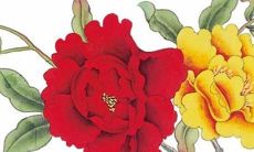 的职业发展策略和个人成长计划：从加强自身素质到提升领导能力，科学规划未来路程