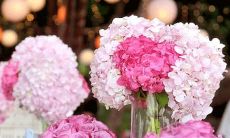 揭示2017年发生巨大变革和转变的12个星座，让你明白数字、财运、爱情和职业领域的机遇！