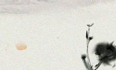 探索古代文化之美——收集优美的古诗经名称