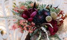 金星的位置如何揭示你的气质和塑造你的爱情观念？