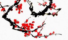 详解：魔蝎座和天蝎座星座之间的区别、相似之处以及如何理解它们的性格特征和人际关系模式