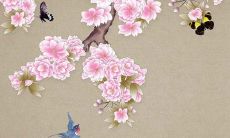 2023年出生的属兔男性的未来命运如何？