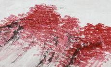 预测：1980年属猴的人在2023年全年的财运、事业和感情运势分析