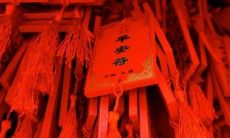 属虎人面对2022年本命年，是否会经历多次倒霉事件？探究虎年属虎人在2022年的运势及其遭遇的负面情况