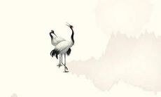 2022年免费为新生婴儿提供永久姓常的取名服务!