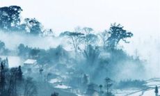 揭秘属猴人在2023年的命运走向：全年运势预测！