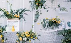 男性天蝎座二区与女性白羊座三区之间的星座配对深度分析及关键因素探究