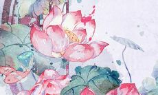 一览众多,带有芷字的可爱迷人男孩名字推荐