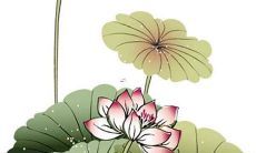 如何应对2023年的破太岁问题并有效破解