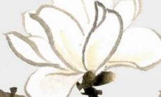 2023年9月将是属兔人的繁华时刻：属兔人们将迎来最佳时机并大放异彩！