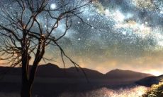 87年生人最佳婚配大揭秘：探究各星座配对、生肖匹配和五行缘分，为你的爱情保驾护航！