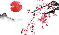 预测：根据中国农历，2023年的生肖属性表及其影响