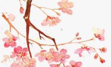 属虎的人在2023年的财运和运势如何？