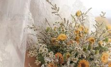 星座之间的48种星区组合配对方式：探讨常用的天文学术语，发掘宇宙奥秘！