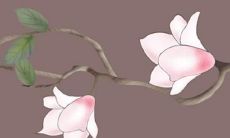 有哪些可以作为生肖兔本命年礼品的优秀选择？