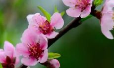 解梦：梦见自己救助儿子，预示着什么？