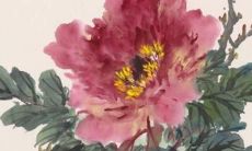 根据生肖属鼠和出生于1996年,预测其未来在2023年的运势情况