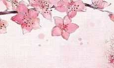 甲午日柱女命十神：在人际交往中独当一面的维护者