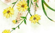 2022年,给姓王的女孩起什么名字更好呢?