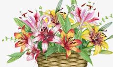 的流行趋势：探寻未来父母的取名偏好和宝宝个性化命名趋势