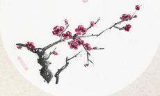 2023年属牛的人应该选择哪些颜色来穿着，以最大程度地展示自己的光彩和幸运？