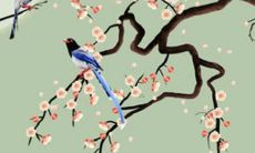 属牛的人在2023年的运势展望：解析97年生肖牛2023年的财运、感情、事业、健康、家庭等方面的表现