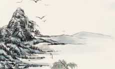 属蛇人的人们在2023年需要备考哪些考试？