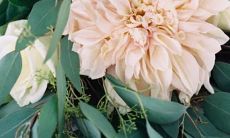 如何使用准确的方法查询自己的本命星座？