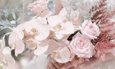 十二星座分别属于哪些恐龙种类？