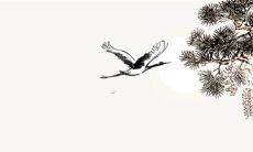 2023年属兔人出生的月份是哪些？