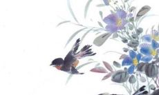 在2023年，鼠年是否会犯太岁？