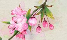 面对2023年，作为属马人，你的婚姻前景将会如何？