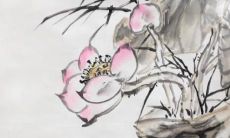 孔子智慧之书——论语中适用于女孩子取名的绝美宝典