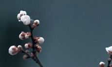 请问2023年是哪一年的农历？