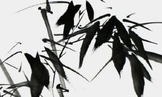 如何命名一个美妆品牌的口红，让其听起来美丽动人，让人印象深刻？