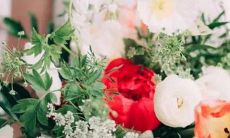 1993年度星历表：详细记录天体位置、运行轨迹及日月食等天文现象的厚重参考指南