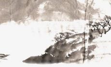 30款女孩带有欣字的文艺、时尚、优雅的取名建议!