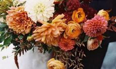 狮子座在星座中的地位和大小如何与其他星座相比？