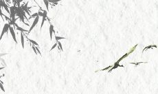 全面收集的时尚好听、富有创意的QQ昵称大全