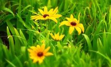 做梦中的染发象征着什么？解梦专家来为你解析！