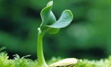 梦见蛇从视野中突然消失，这是否象征着深刻的心理层面变化？