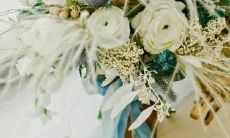 金星出现在哪个星座，表示什么意义？