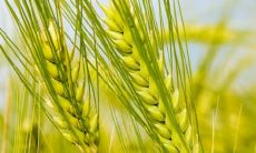 做梦：房屋倒塌砸死人 VS 房屋倒塌但人安全，对应着怎样的预示？