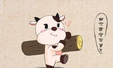 1913年的生肖是什么?所出生的人命运如何?