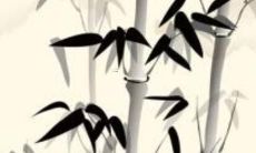 87年兔本命年纪念黄金手链，传递兔儿精神与幸福祝福之意